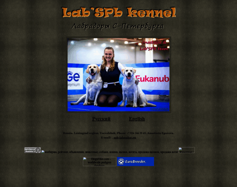 Spb-labrador.ru thumbnail