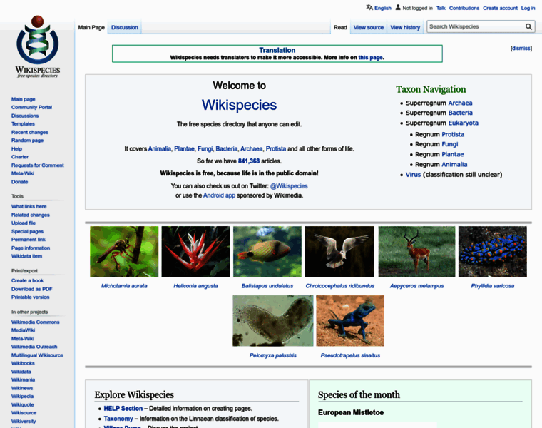 Species.wikimedia.org thumbnail
