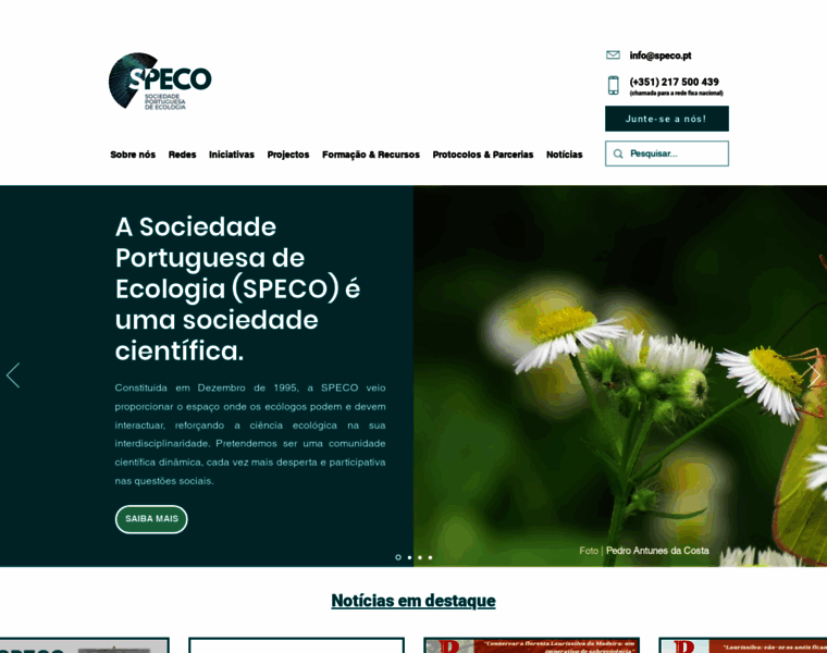 Speco.pt thumbnail