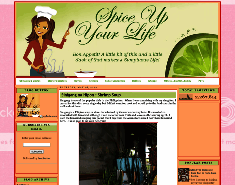 Spice-up-your-life.net thumbnail