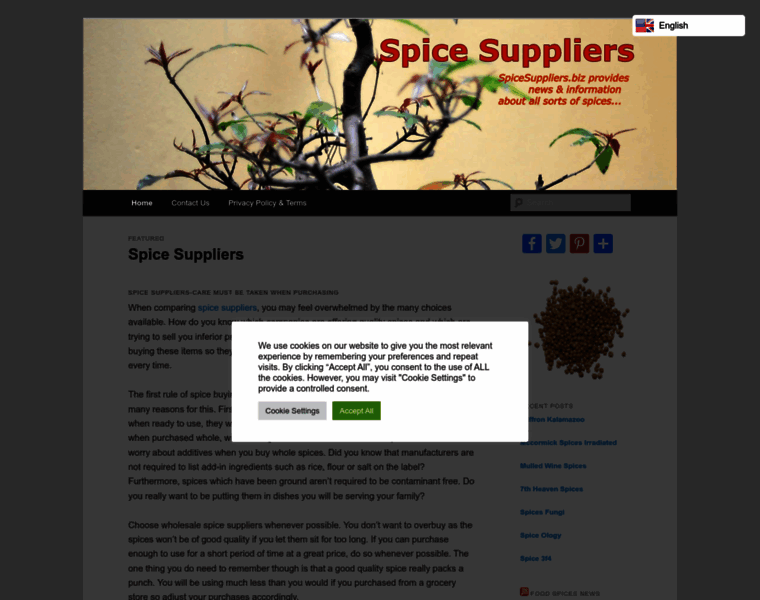 Spicesuppliers.biz thumbnail