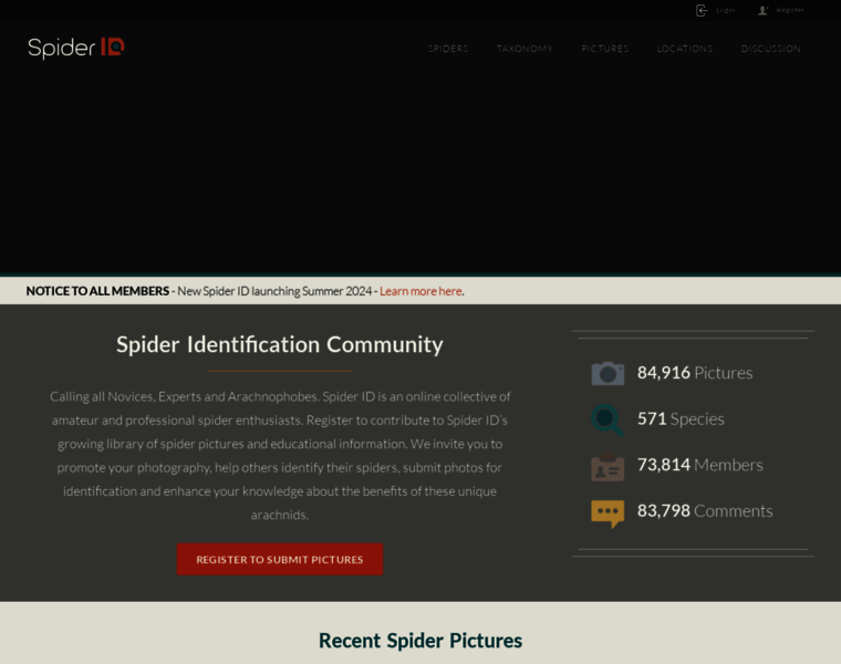 Spiderid.com thumbnail
