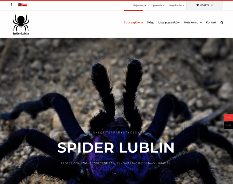 Spiderlublin.pl thumbnail