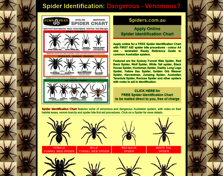 Spiders.com.au thumbnail