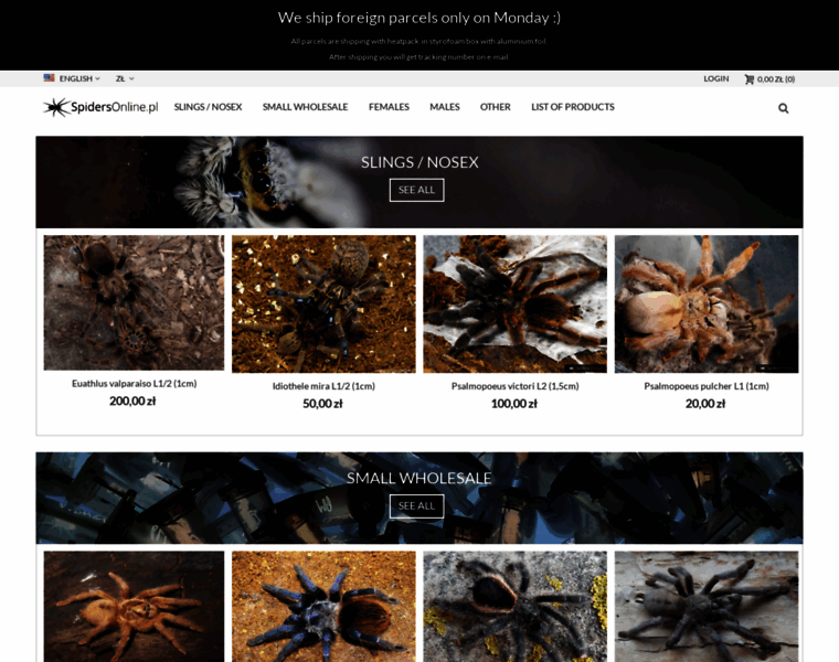 Spidersonline.pl thumbnail