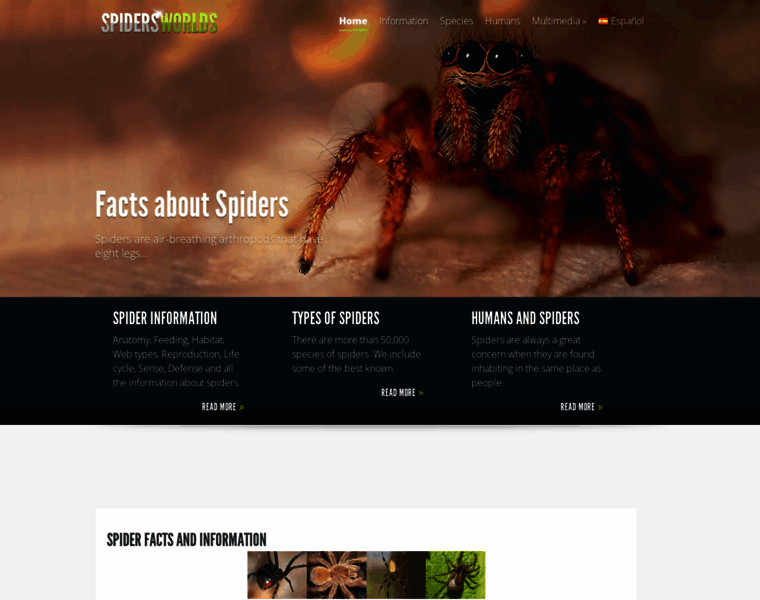 Spidersworlds.com thumbnail