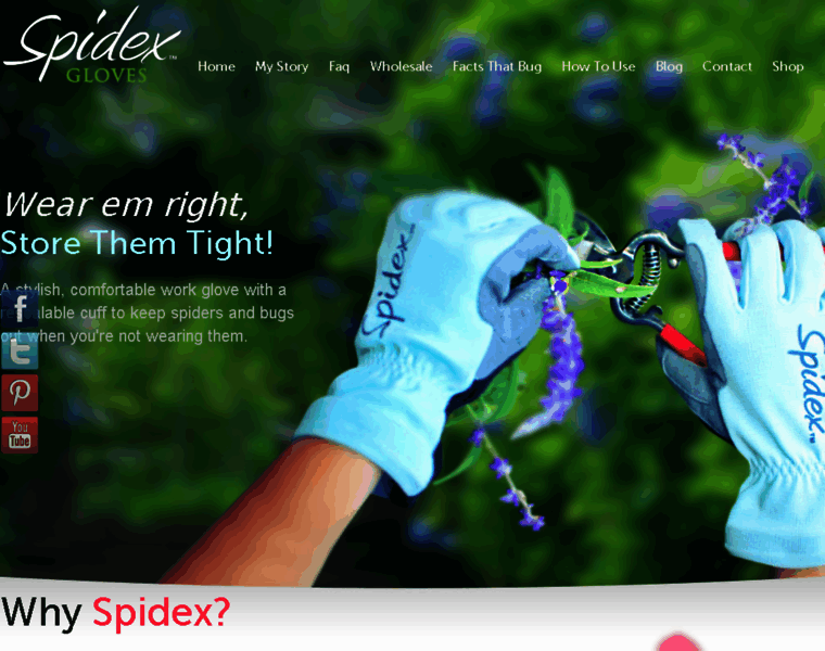 Spidexgloves.com thumbnail