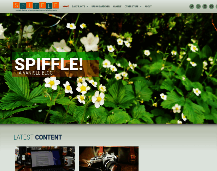Spiffle.com thumbnail