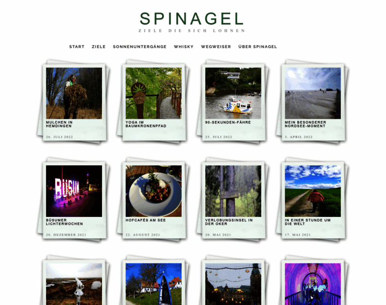 Spinagel.de thumbnail