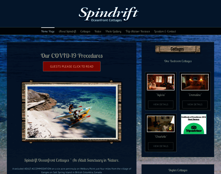 Spindriftsaltspringisland.com thumbnail