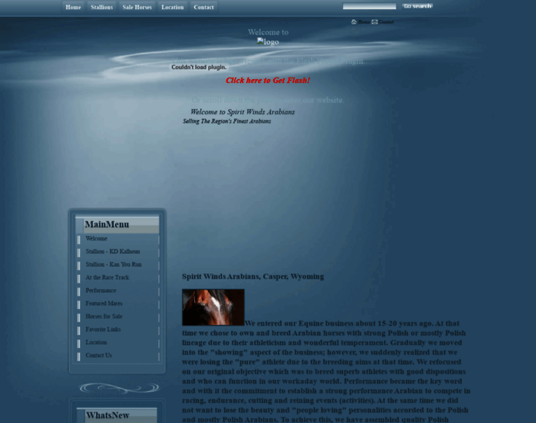 Spiritwindshorses.com thumbnail