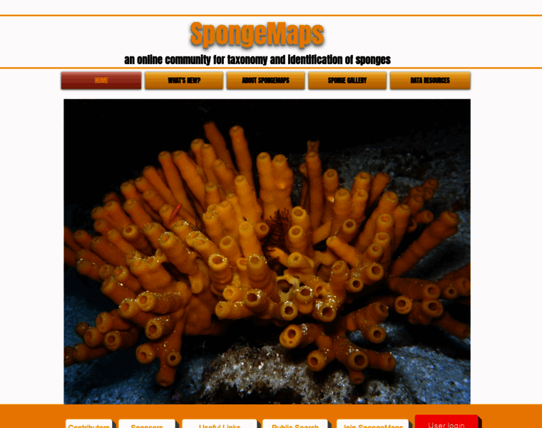 Spongemaps.org thumbnail