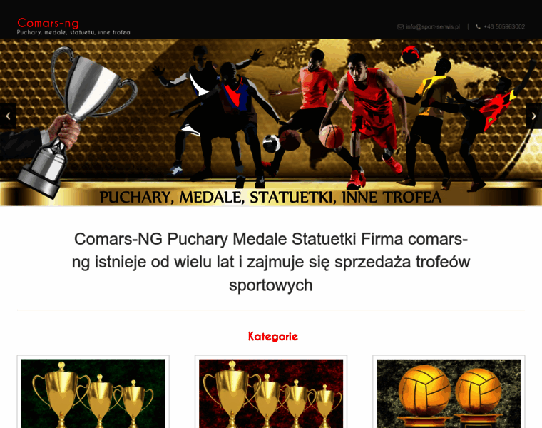 Sport-serwis.pl thumbnail