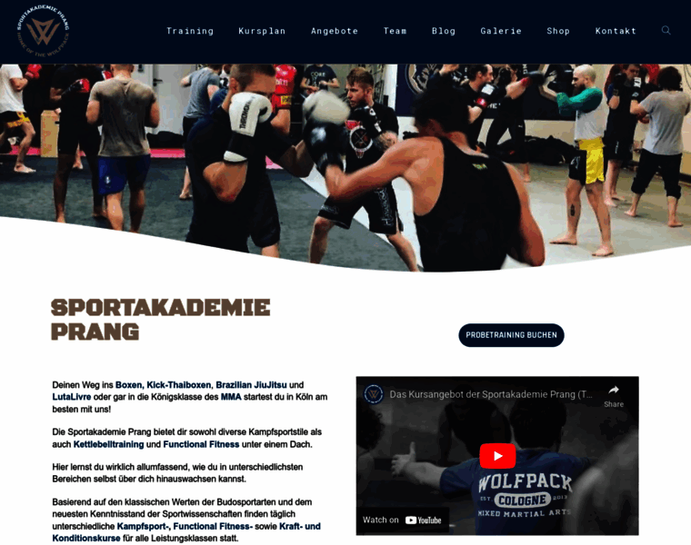 Sportakademie-prang.de thumbnail