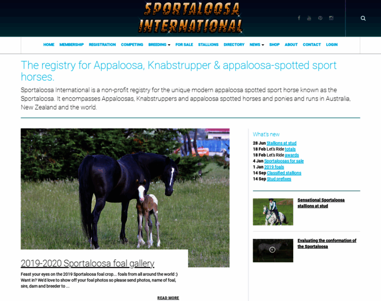 Sportaloosa.co.nz thumbnail