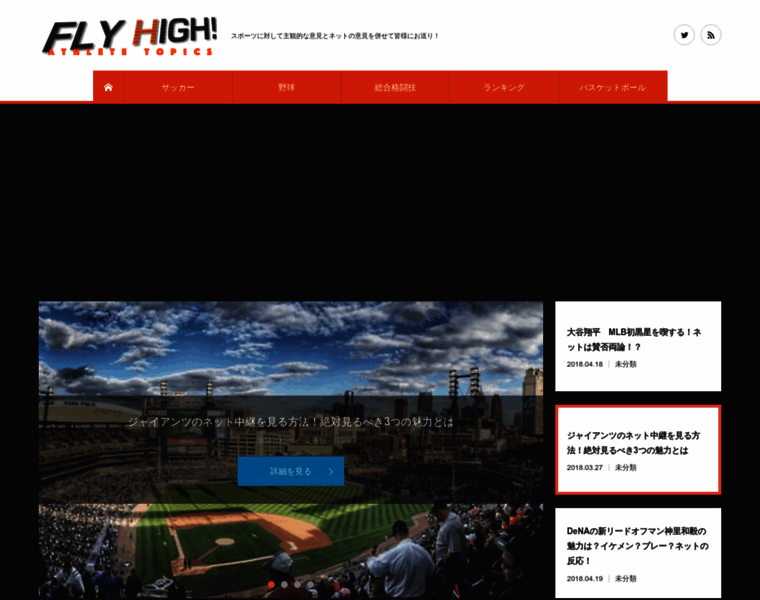 Sportsflyhigh.com thumbnail