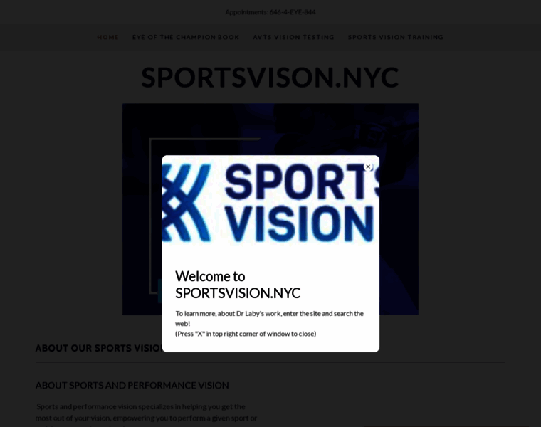 Sportsvision.nyc thumbnail