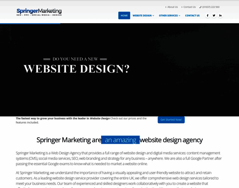 Springer-marketing-seo.co.uk thumbnail