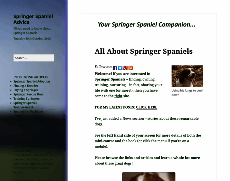 Springerspanieladvice.com thumbnail