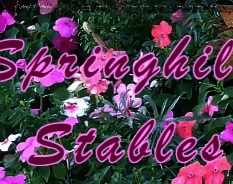 Springhill-stables.com thumbnail