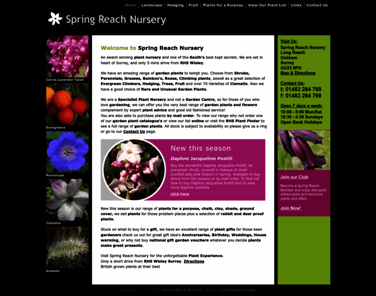 Springreachnursery.co.uk thumbnail