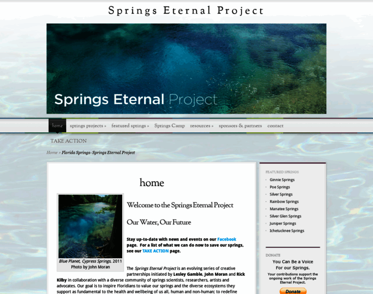 Springseternalproject.org thumbnail