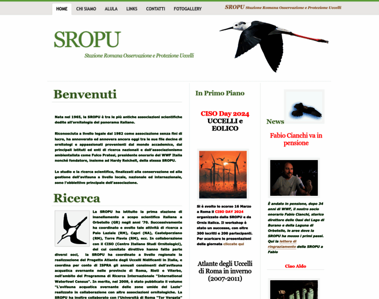 Sropu.org thumbnail
