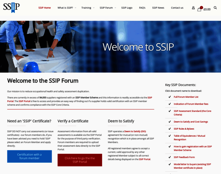Ssip.org.uk thumbnail