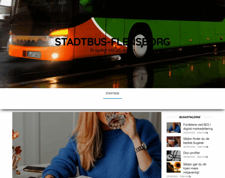 Stadtbus-flensburg.dk thumbnail