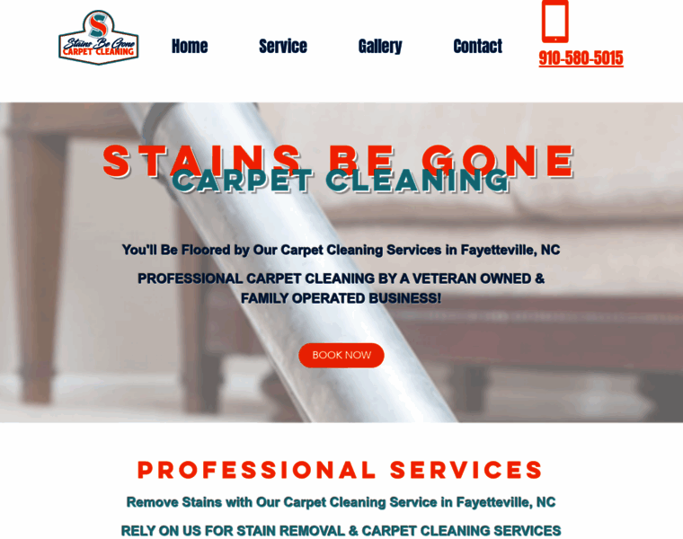 Stainsbegonecarpetcleaning.com thumbnail Stainsbegonecarpetcleaning.com thumbnail