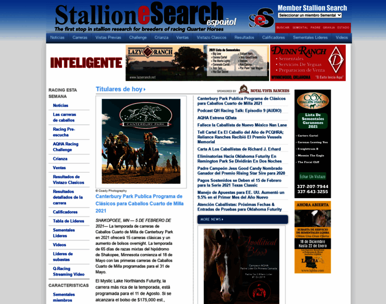 Stallionesearchesp.com thumbnail