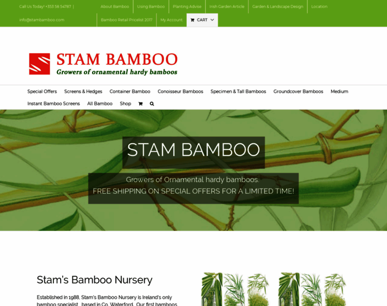 Stambamboo.com thumbnail