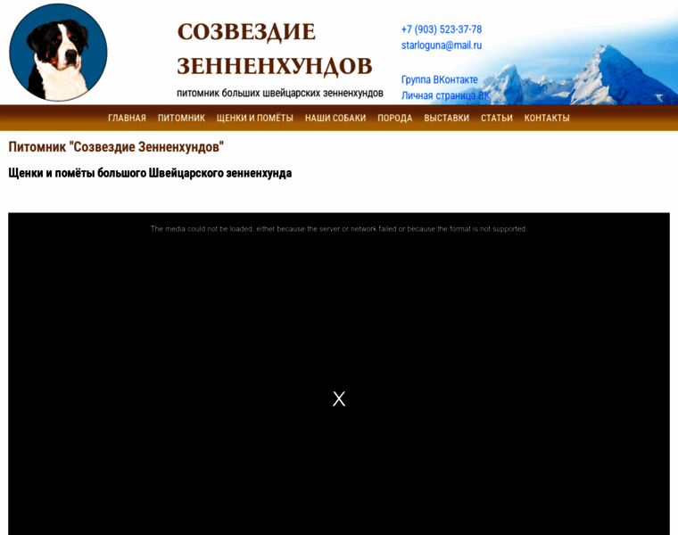 Star-hund.ru thumbnail