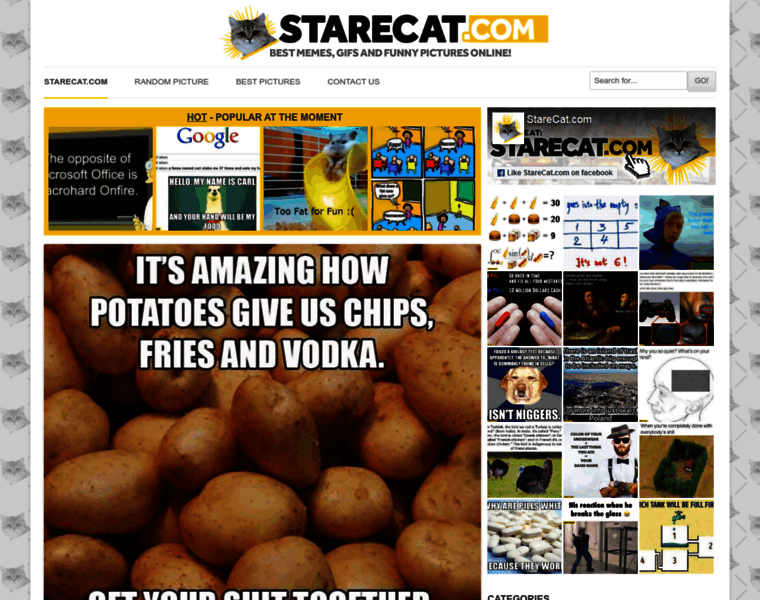 Starecat.com thumbnail