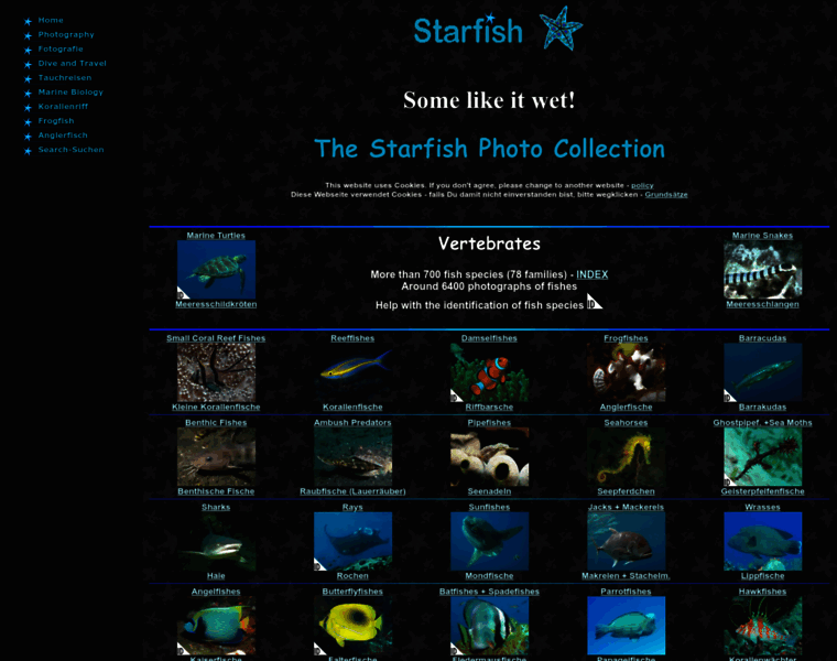 Starfish.ch thumbnail