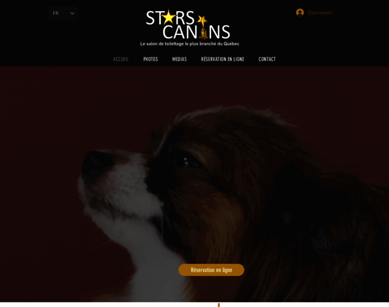 Starscanins.com thumbnail