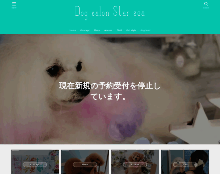 Starsea.jp thumbnail