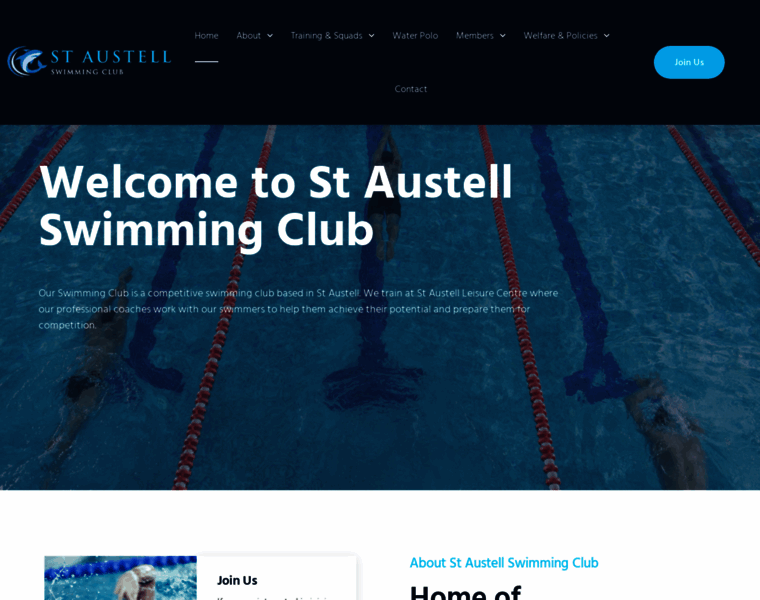 Staustellswimming.co.uk thumbnail