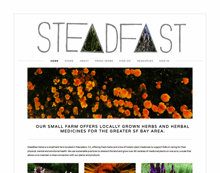 Steadfastherbs.com thumbnail
