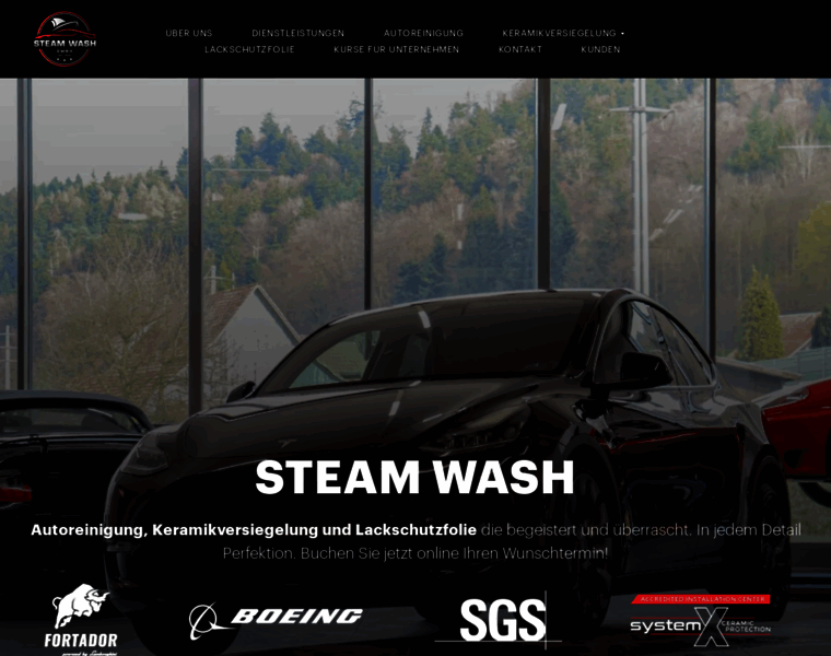 Steamwash.ch thumbnail