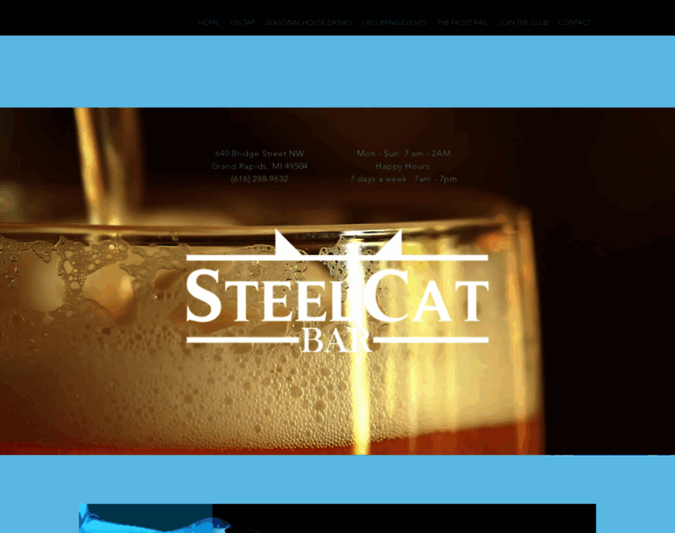 Steelcatbar.com thumbnail