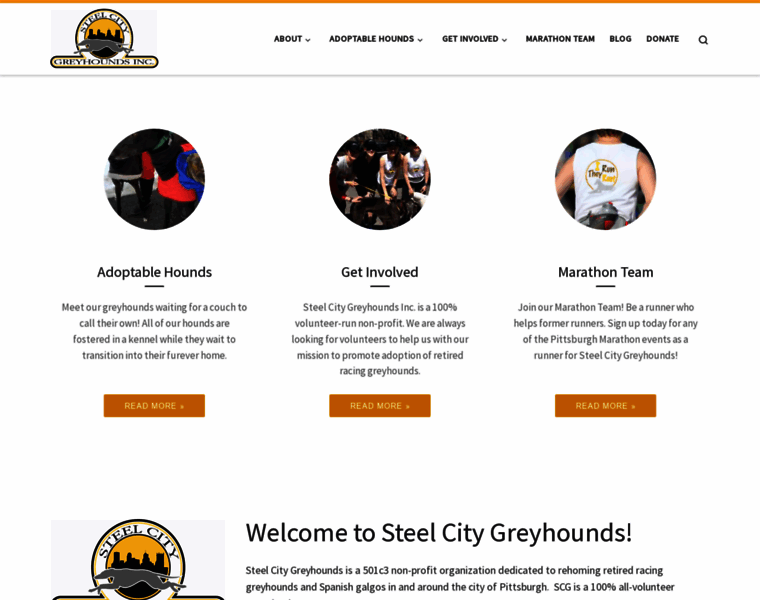 Steelcitygreyhounds.org thumbnail
