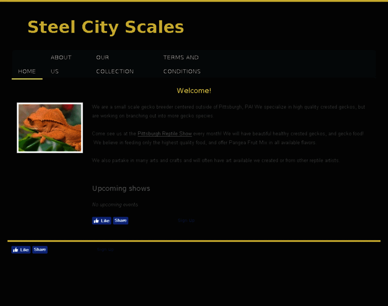 Steelcityscales.com thumbnail