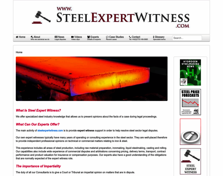 Steelexpertwitness.com thumbnail