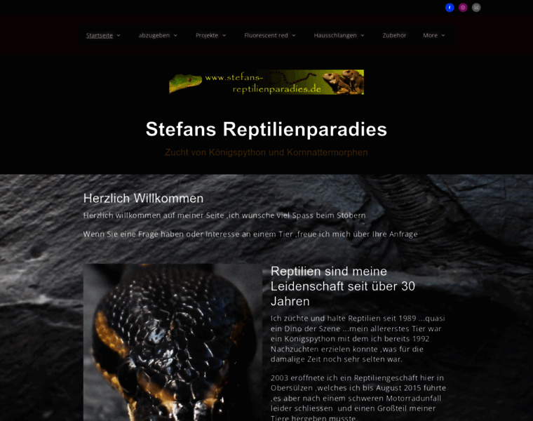 Stefans-reptilienparadies.de thumbnail