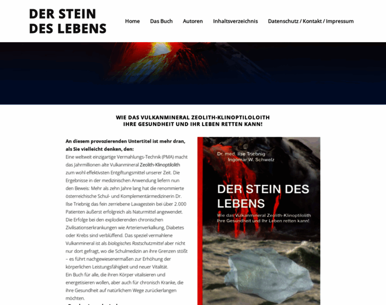 Stein-des-lebens.com thumbnail