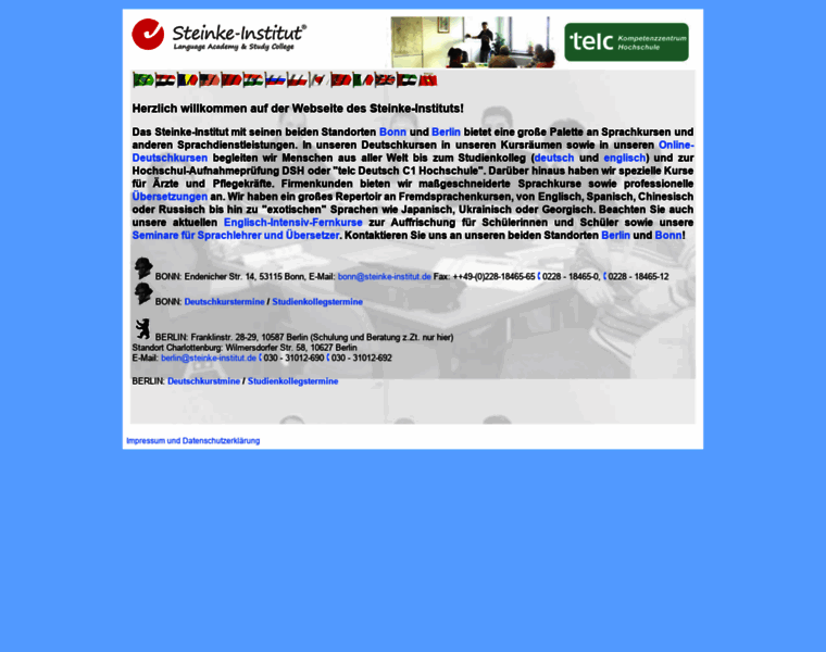 Steinke-institut.org thumbnail
