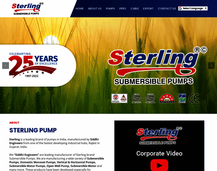Sterlingpumps.in thumbnail