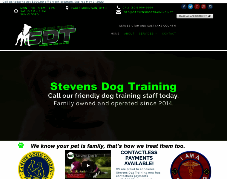 Stevensdogtraining.net thumbnail