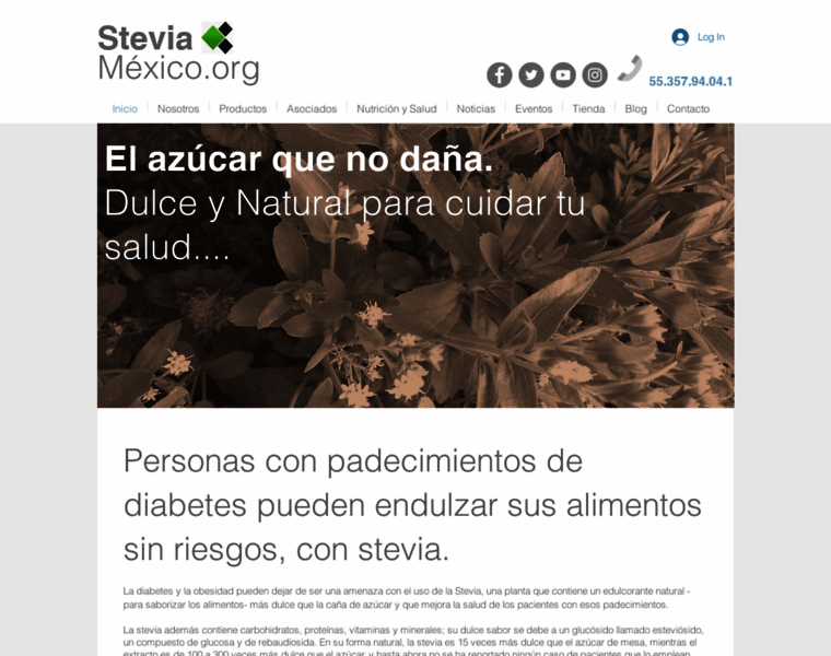 Steviamexico.org thumbnail